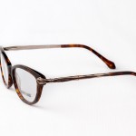 eye-glasses-3